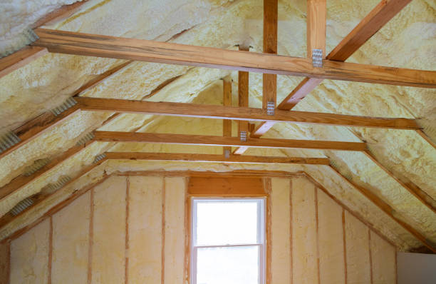Best Insulation Maintenance and Repair in Lewisport, KY