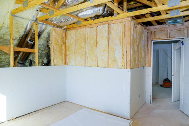 Best Eco-Friendly Insulation in Lewisport, KY