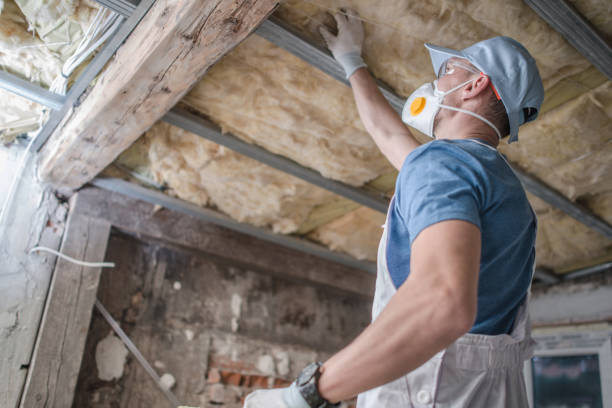 Types of Insulation We Offer in Lewisport, KY