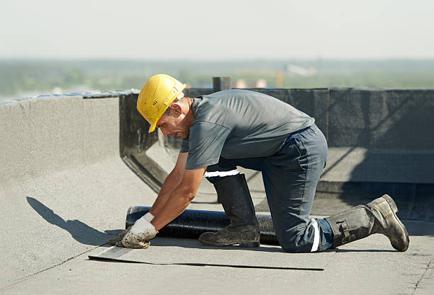 Best Geographic-Specific Insulation Services in Lewisport, KY